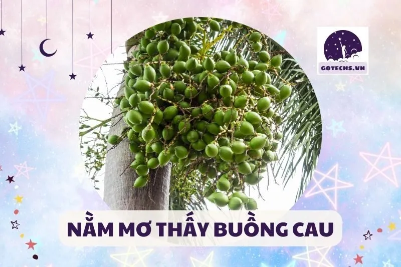 NẰM MƠ THẤY BUỒNG CAU