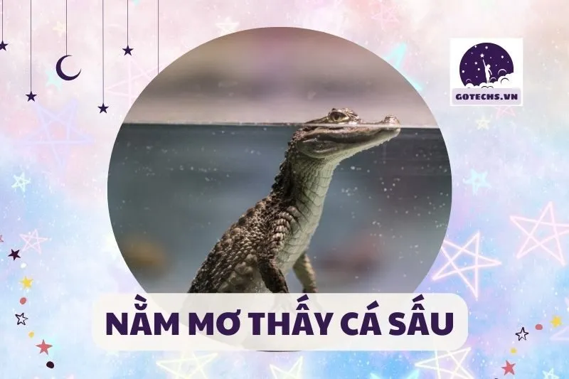 NẰM MƠ THẤY CÁ SẤU