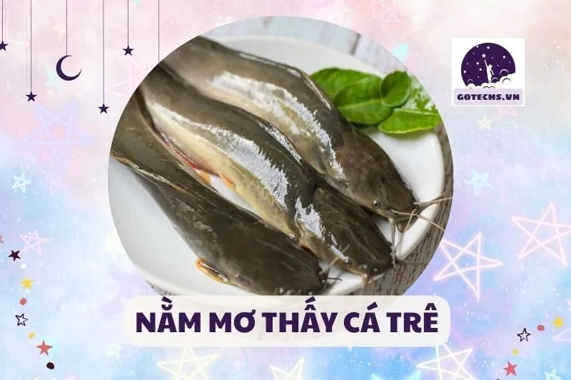 NẰM MƠ THẤY CÁ TRÊ