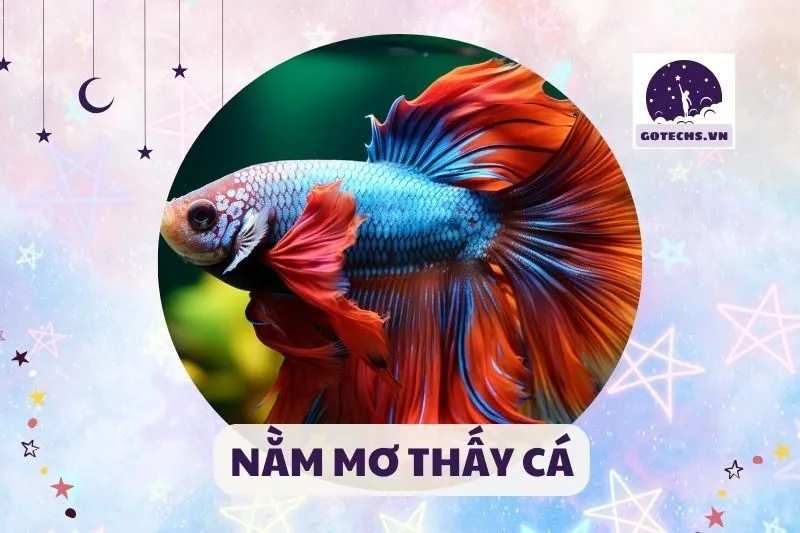 NẰM MƠ THẤY CÁ