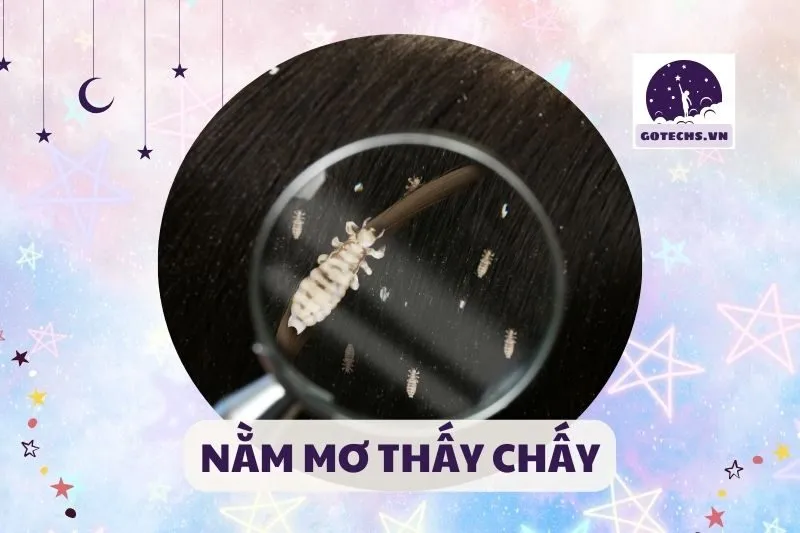 NẰM MƠ THẤY CHẤY