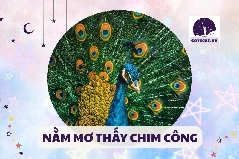 NẰM MƠ THẤY CHIM CÔNG