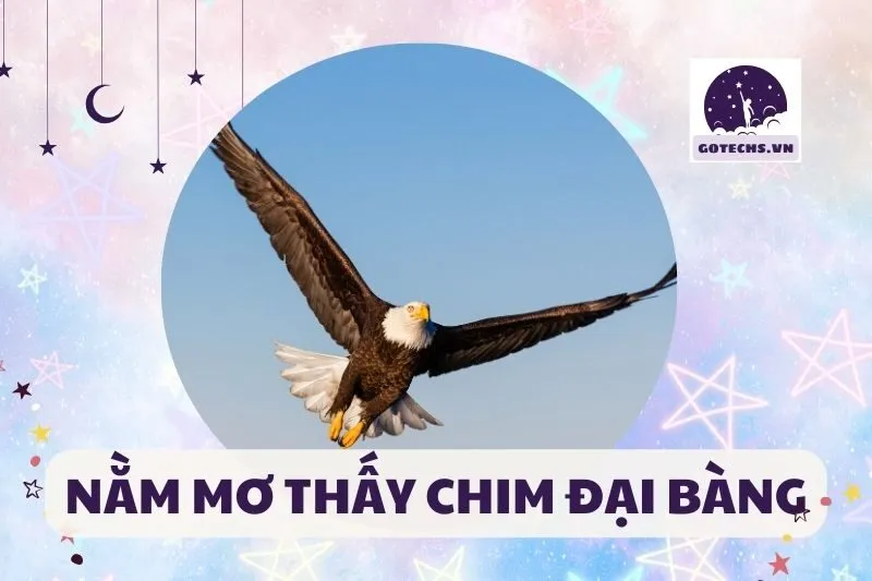 Nằm mơ thấy chim đại bàng có ý nghĩa gì? Bật mí điềm báo và số may 2025