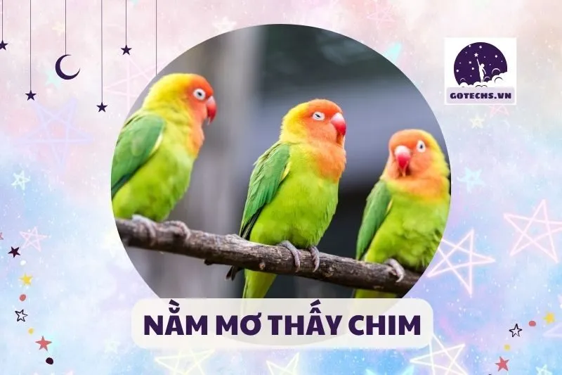 NẰM MƠ THẤY CHIM
