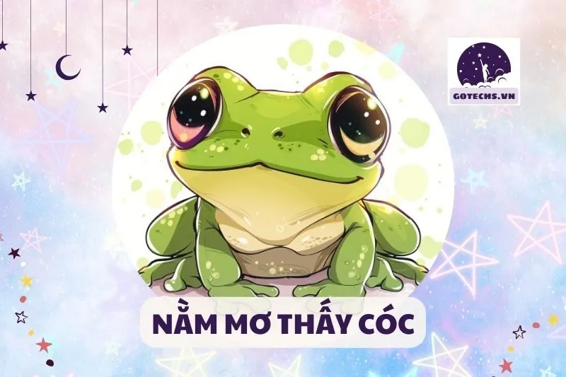 NẰM MƠ THẤY CÓC