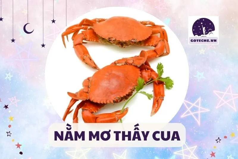 NẰM MƠ THẤY CUA