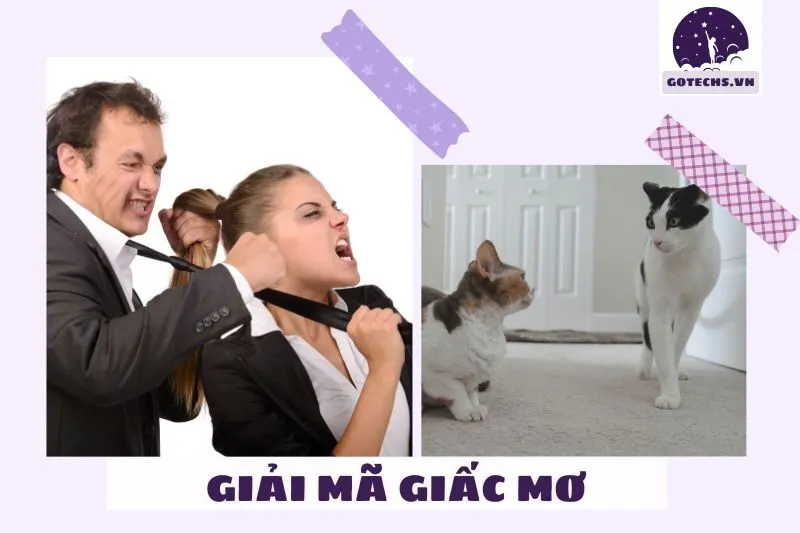 Nằm mơ thấy đánh nhau có ý nghĩa gì?