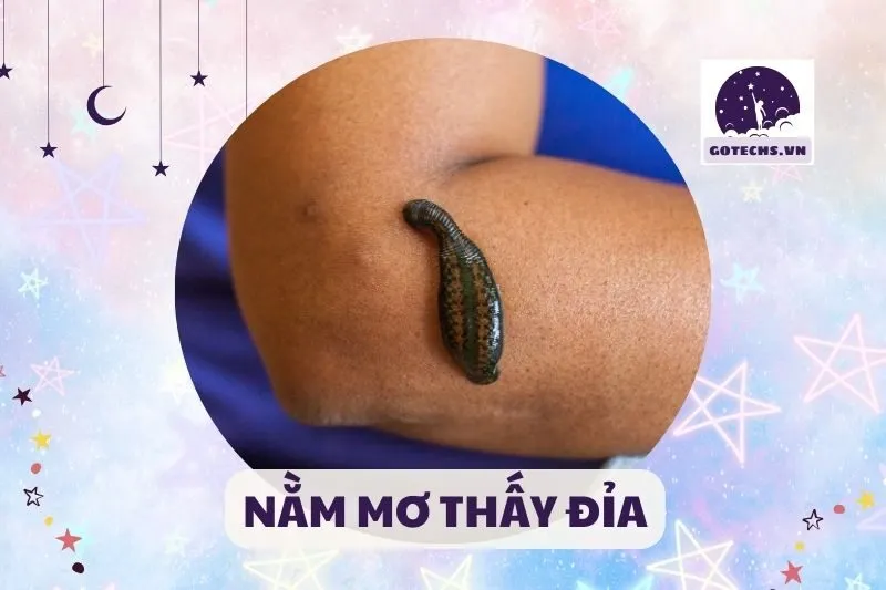 NẰM MƠ THẤY ĐỈA