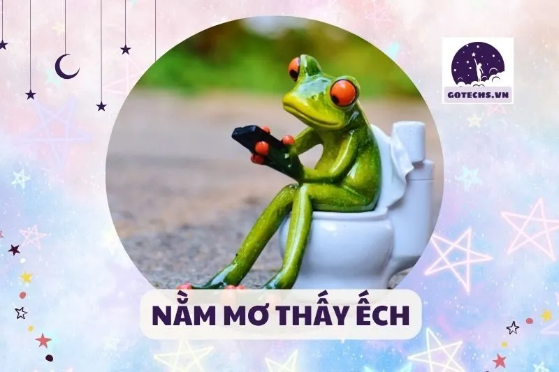 NẰM MƠ THẤY ẾCH