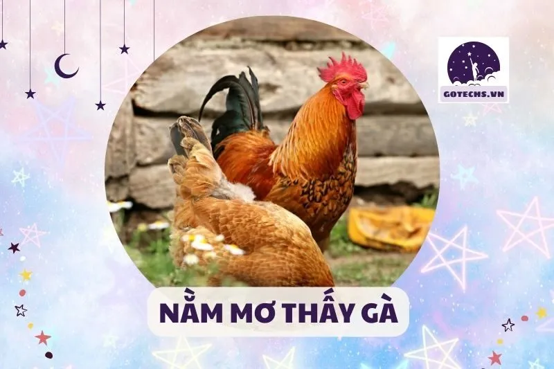 NẰM MƠ THẤY GÀ