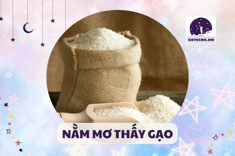 NẰM MƠ THẤY GẠO
