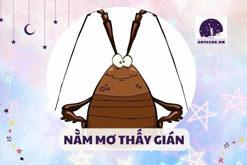NẰM MƠ THẤY GIÁN