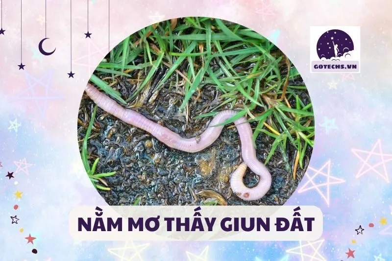 NẰM MƠ THẤY GIUN ĐẤT