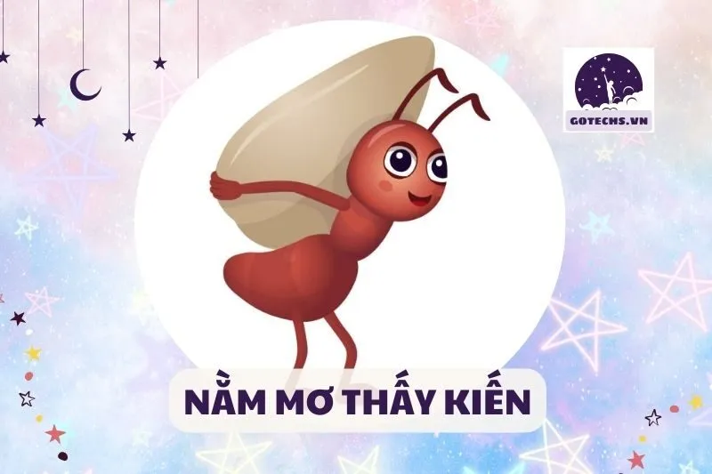 NẰM MƠ THẤY KIẾN