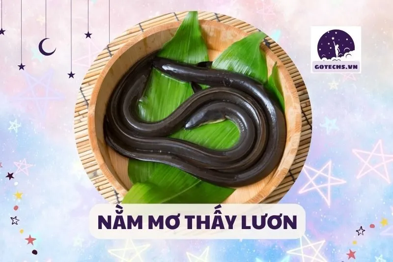NẰM MƠ THẤY LƯƠN