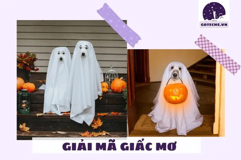 Nằm mơ thấy ma có ý nghĩa gì?