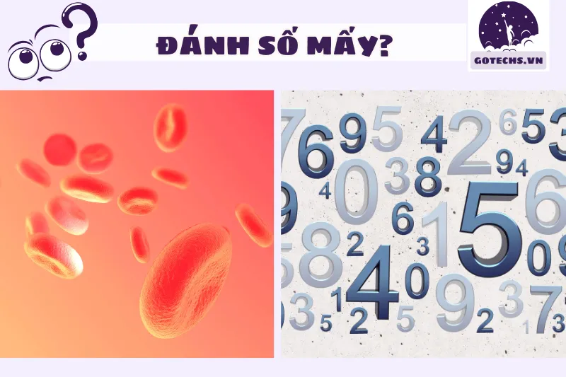 Nằm mơ thấy máu nên đánh con gì?