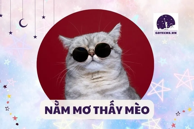 NẰM MƠ THẤY MÈO