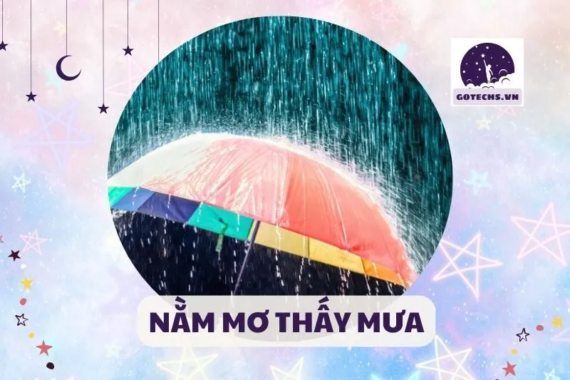 NẰM MƠ THẤY MƯA
