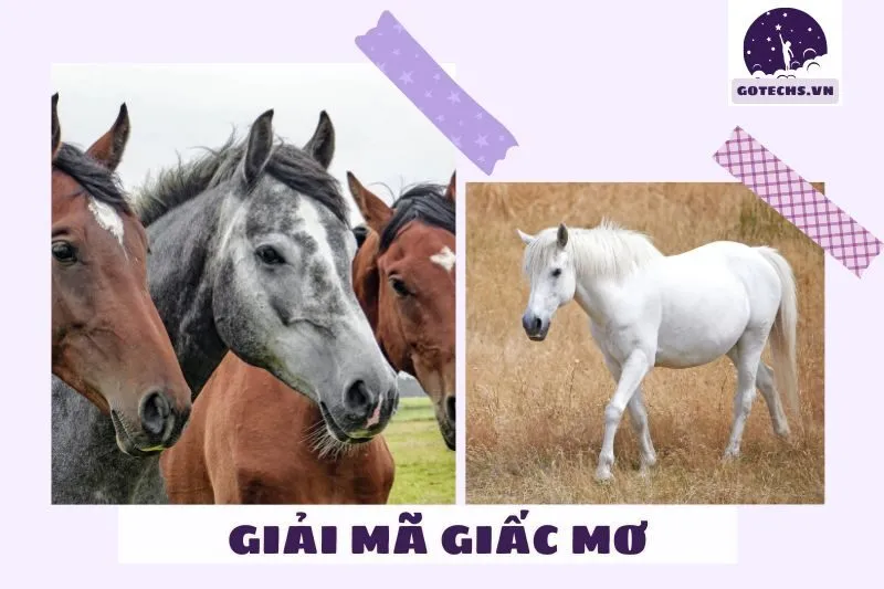 Nằm mơ thấy ngựa: Ý nghĩa và điềm báo tài lộc