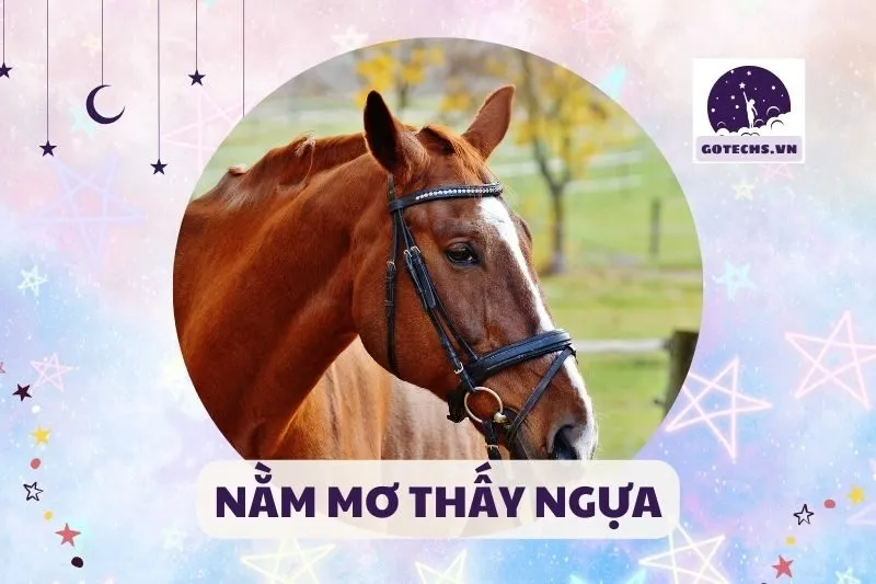 NẰM MƠ THẤY NGỰA