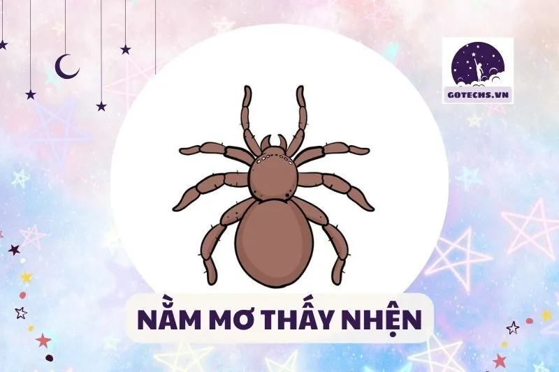 NẰM MƠ THẤY NHỆN