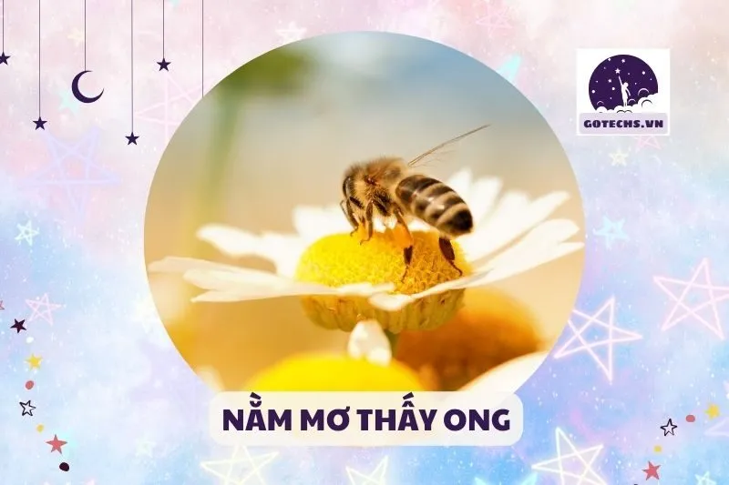 NẰM MƠ THẤY ONG