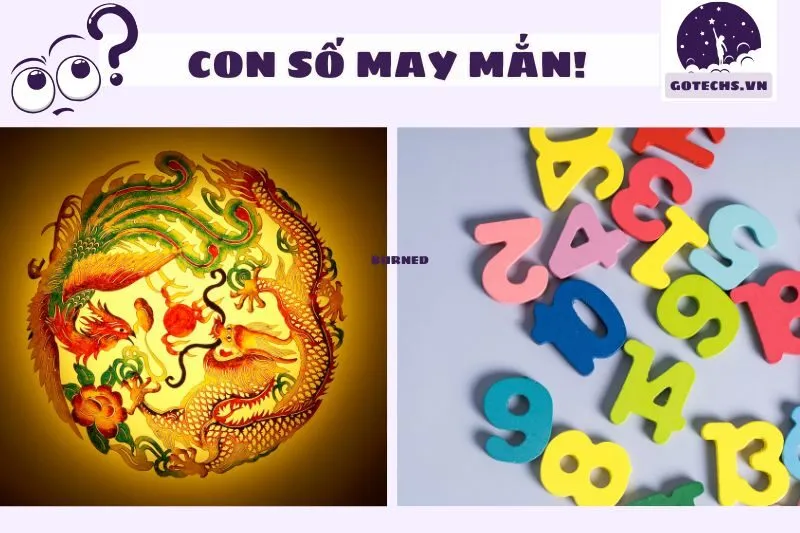 Nằm mơ thấy phượng hoàng thấy số may mắn gì?