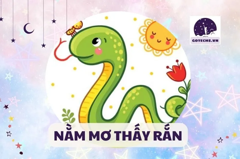 NẰM MƠ THẤY RẮN