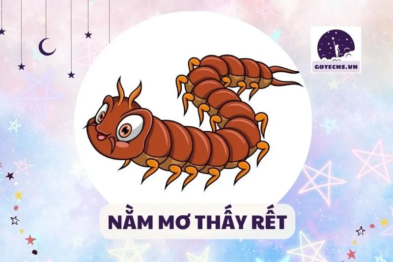 NẰM MƠ THẤY RẾT