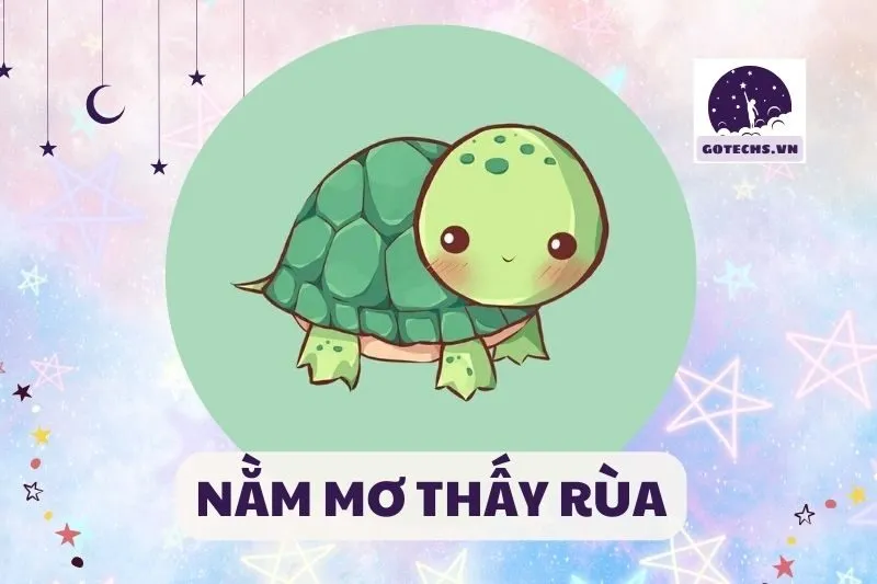 NẰM MƠ THẤY RÙA