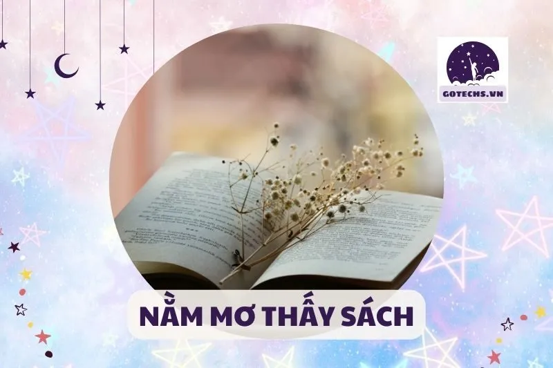 NẰM MƠ THẤY SÁCH