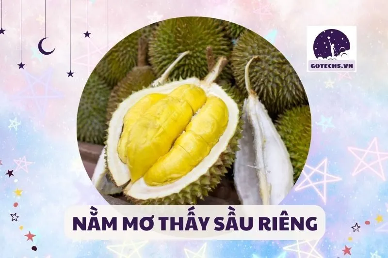NẰM MƠ THẤY SẦU RIÊNG
