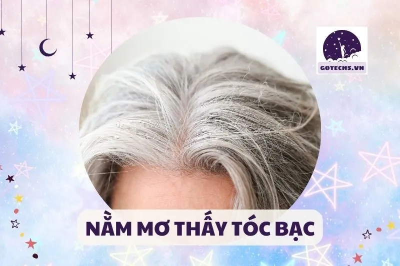 NẰM MƠ THẤY TÓC BẠC