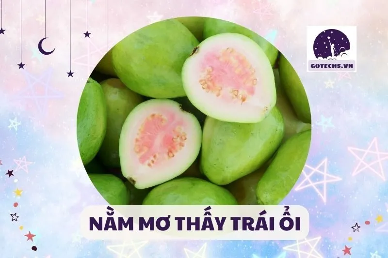 NẰM MƠ THẤY TRÁI ỔI