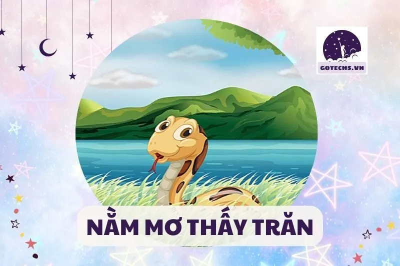 NẰM MƠ THẤY TRĂN