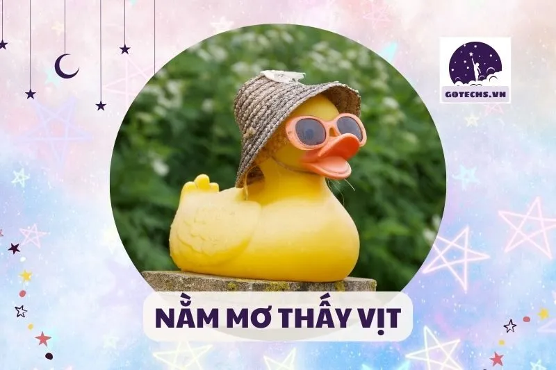 NẰM MƠ THẤY VỊT