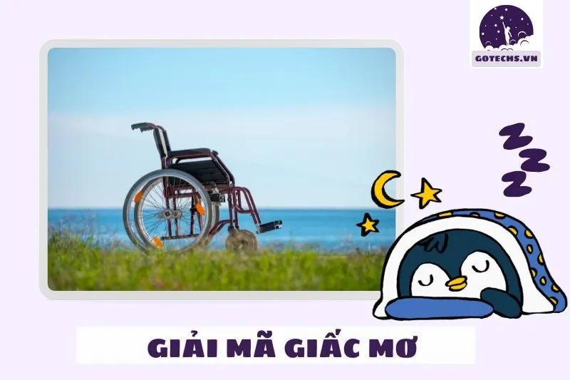 Những Câu Hỏi Thường Gặp Về Giấc Mơ Thấy Xe Lăn