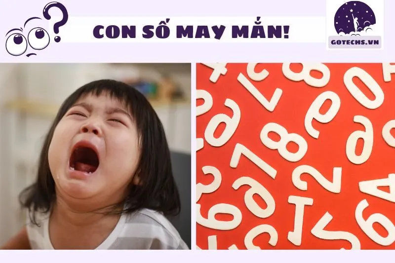 Những con số may mắn khi mơ thấy đi du lịch