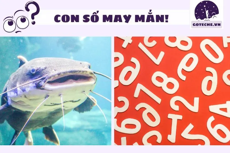 Những con số may mắn liên quan