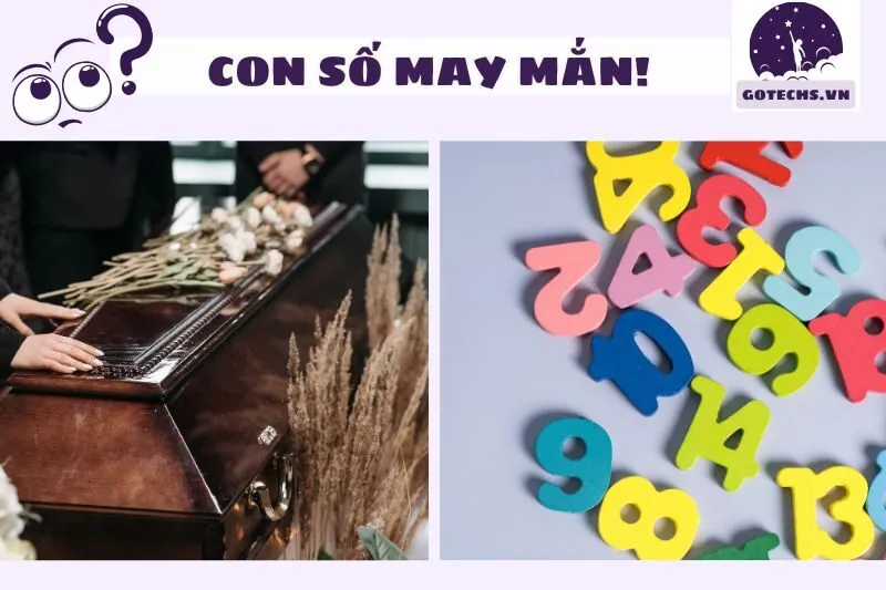 Những con số may mắn liên quan