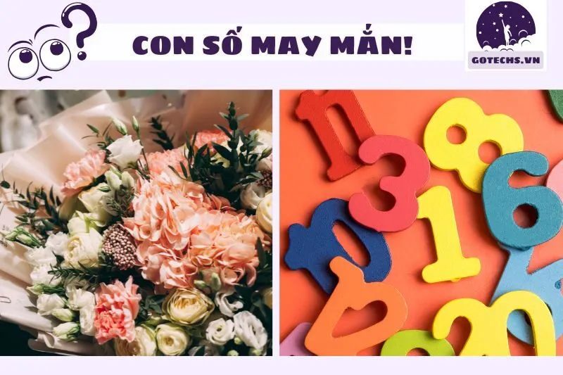 Những con số may mắn liên quan đến giấc mơ thấy hoa