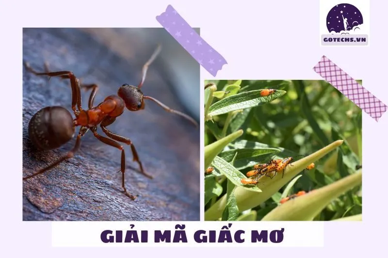 Những điềm báo từ giấc mơ sâu bọ trong cuộc sống hàng ngày