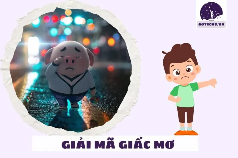 Những Điềm Báo Xấu Khi Nằm Mơ Thấy Heo