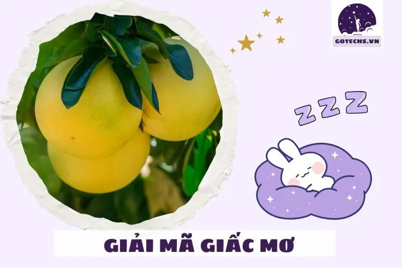 Những giấc mơ liên quan đến quả bưởi và các loại trái cây khác