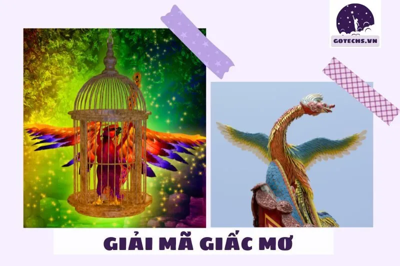 Những giấc mơ phượng hoàng mang ý nghĩa tiêu cực