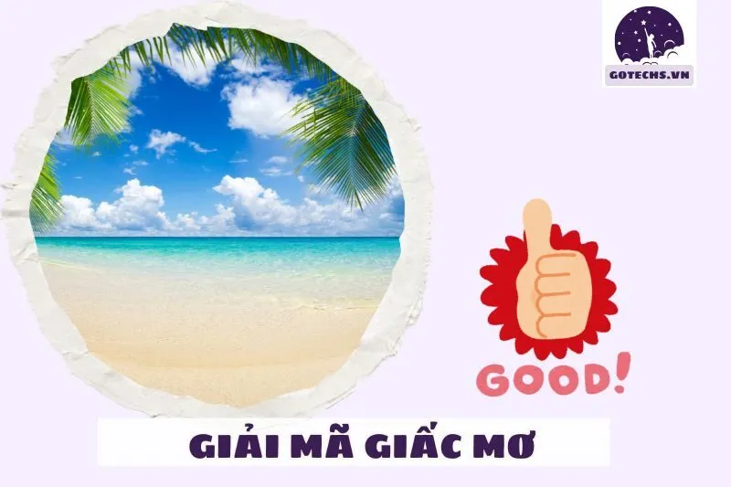 Những Giải Mã Khác Cho Giấc Mơ Liên Quan Đến Biển