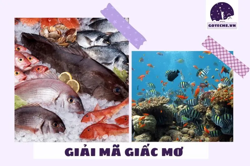 Những loại cá phổ biến trong giấc mơ và ý nghĩa chi tiết