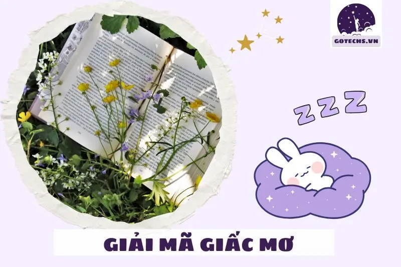 Những thông điệp tích cực và tiêu cực từ giấc mơ nằm mơ thấy sách