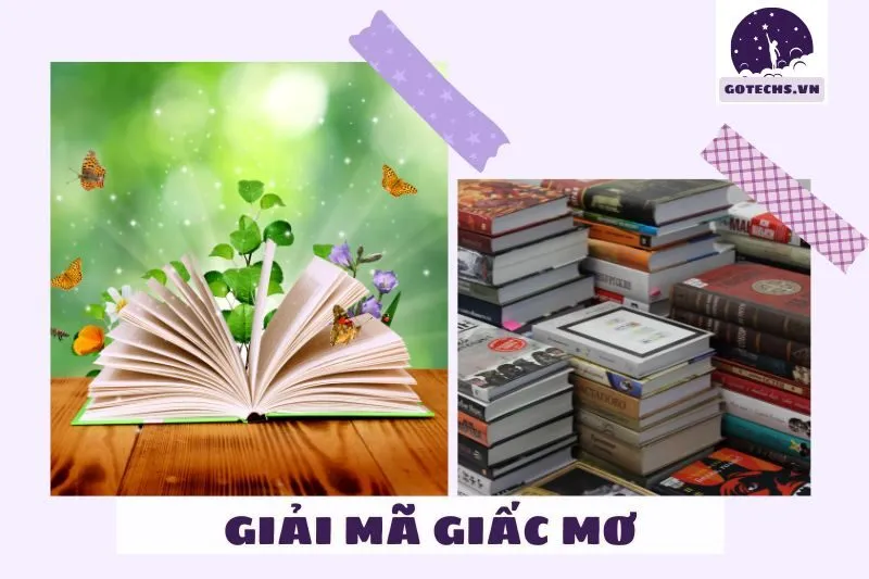 Những tình huống cụ thể khi mơ thấy sách